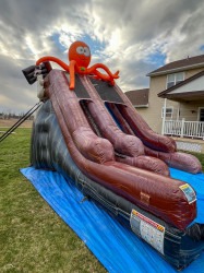 unnamed 2 1743084103 15 ft Pirate Slide (Wet or Dry)