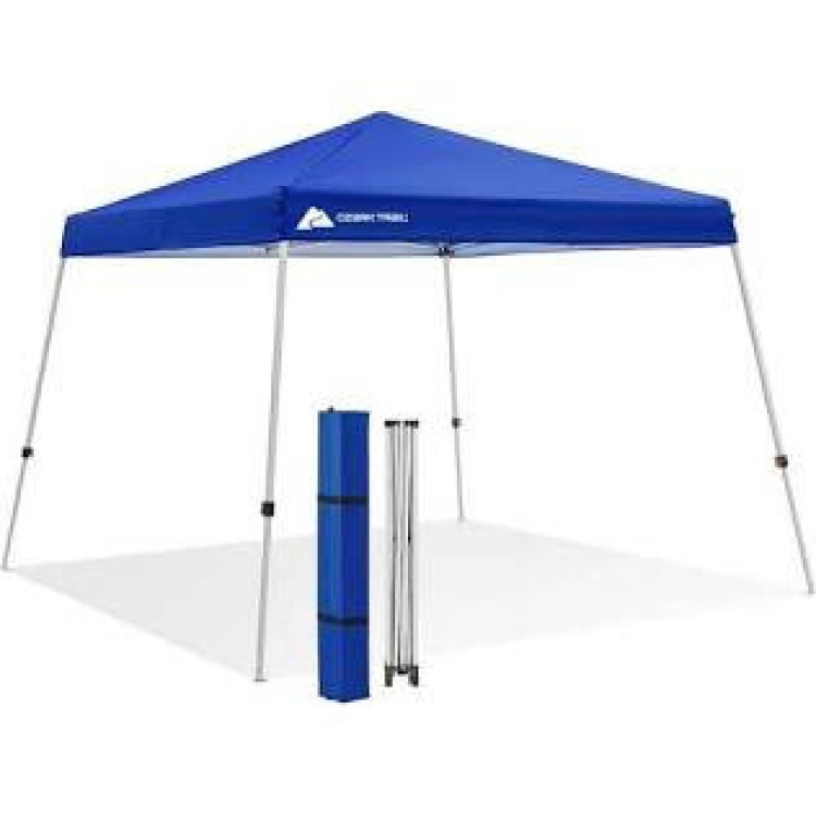 10 x 10 Canopy Tent