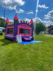 0 7 1748870327 Pink Castle Bounce