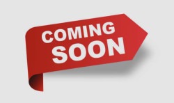 Red, White & Blue Obstacle Course + Slide Combo